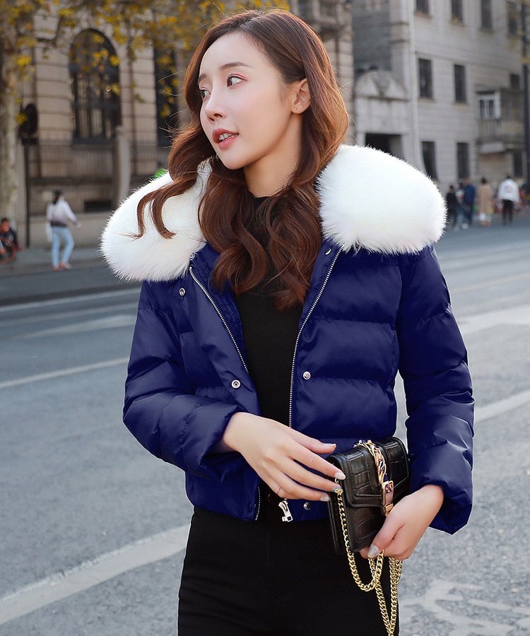 Thin cotton winter coat fashion cotton coat for women