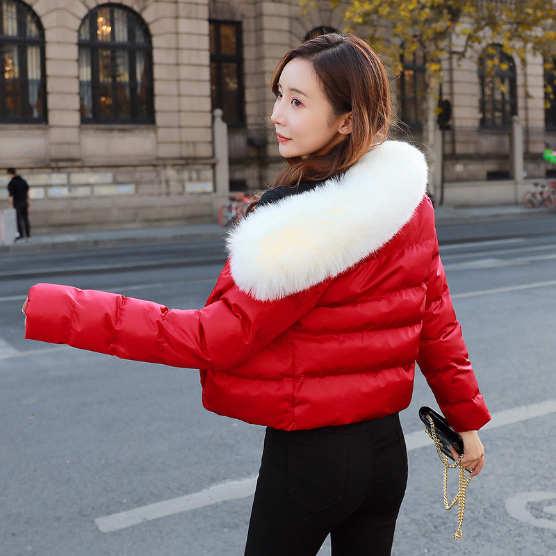 Thin cotton winter coat fashion cotton coat for women