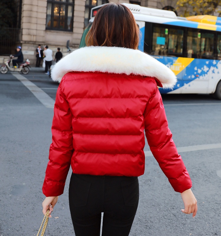 Thin cotton winter coat fashion cotton coat for women