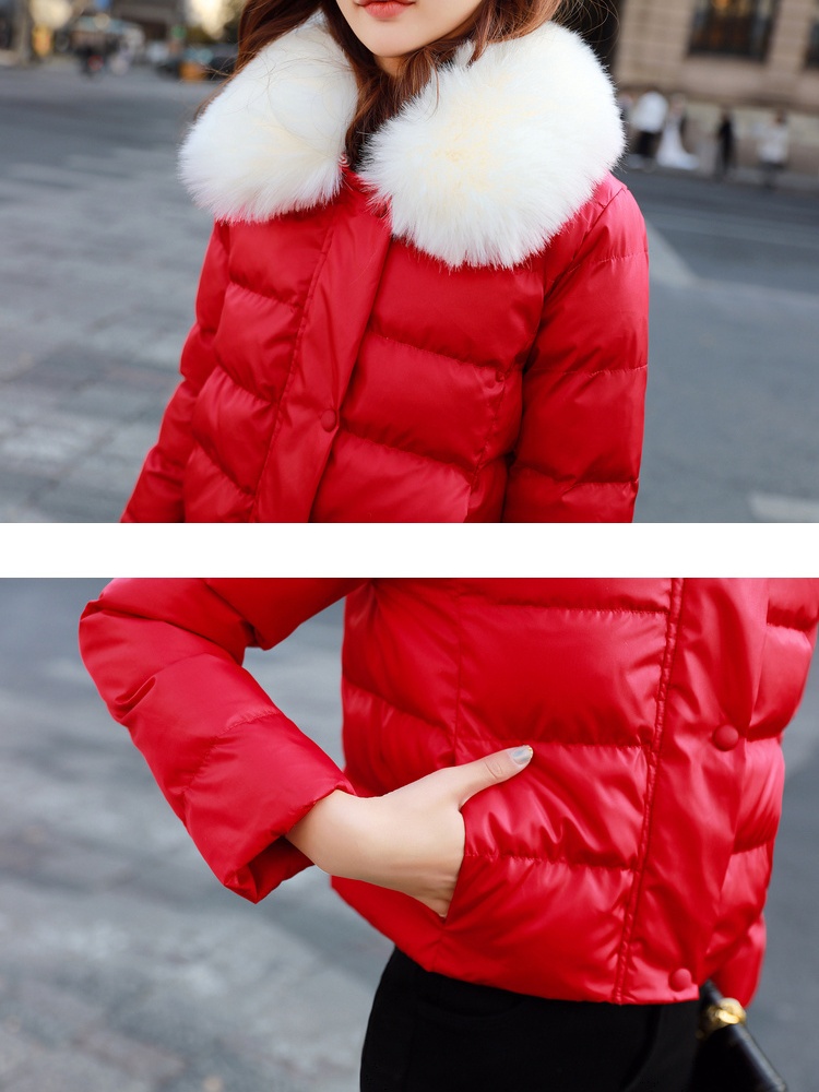 Thin cotton winter coat fashion cotton coat for women