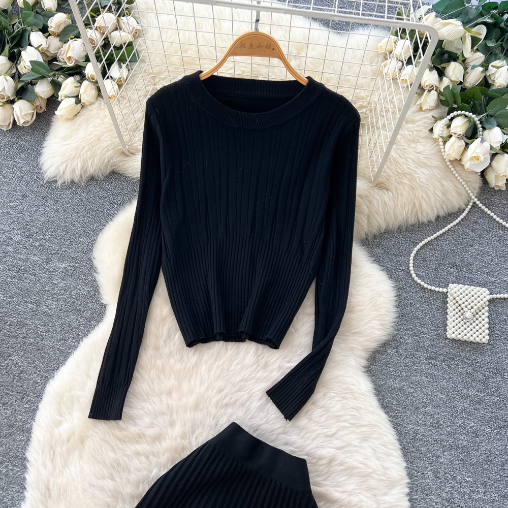 Long sleeve all-match long skirt 2pcs set for women