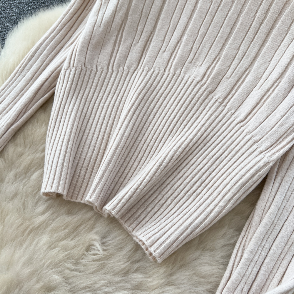 Long sleeve all-match long skirt 2pcs set for women