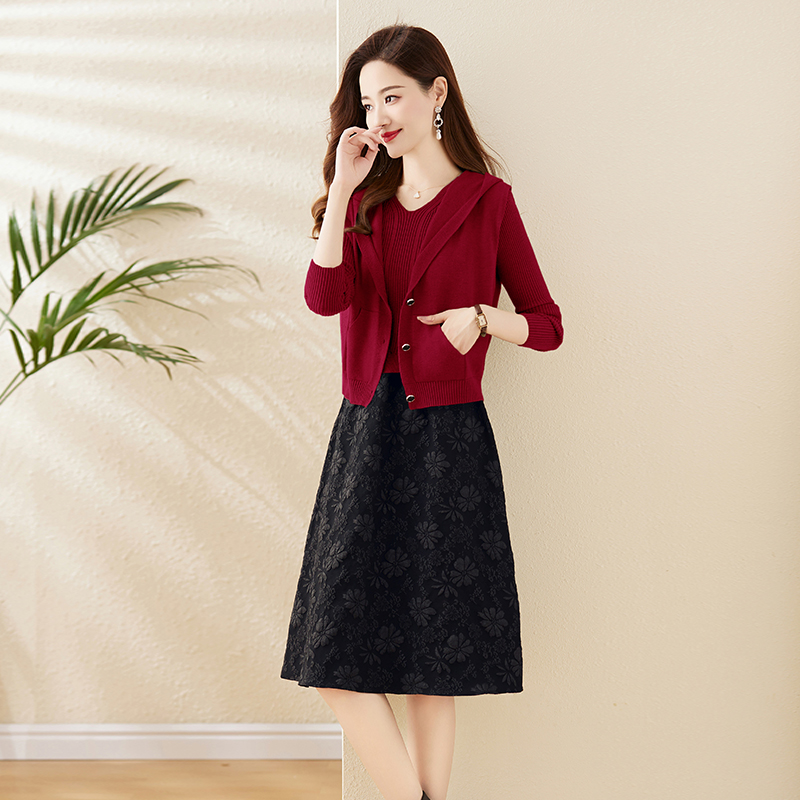Fashion autumn and winter dress 2pcs set for women