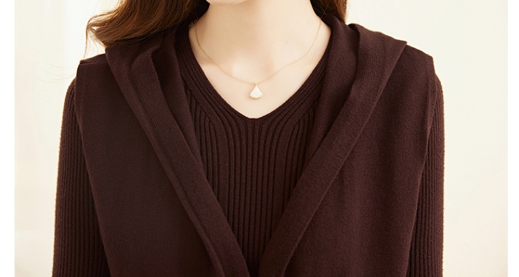 Fashion autumn and winter dress 2pcs set for women