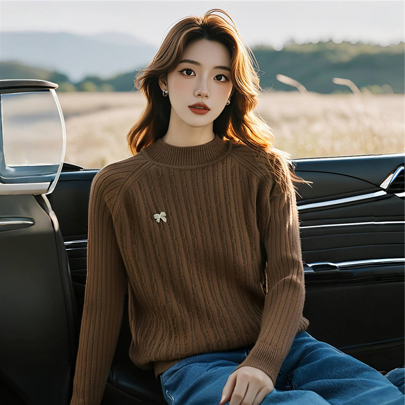 Half high collar simple fashion sweater for women