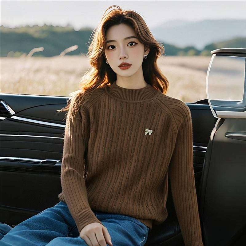 Half high collar simple fashion sweater for women