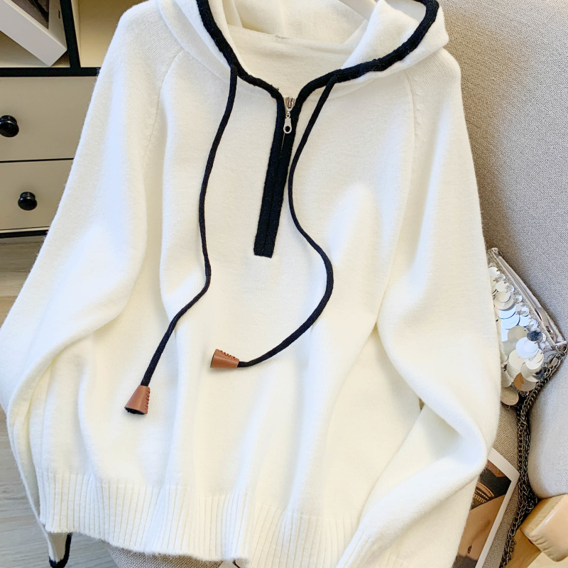 Casual hooded Korean style sweater winter thick simple tops