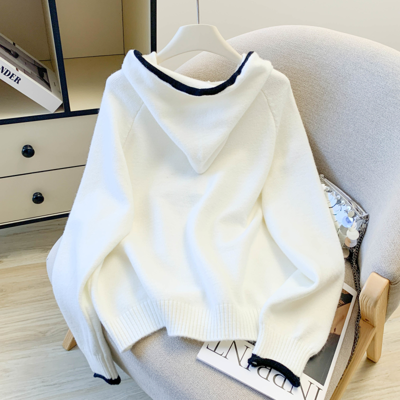 Casual hooded Korean style sweater winter thick simple tops