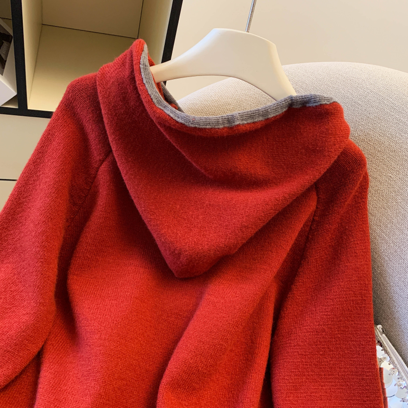 Casual hooded Korean style sweater winter thick simple tops