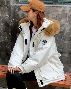 Niche work clothing down parka