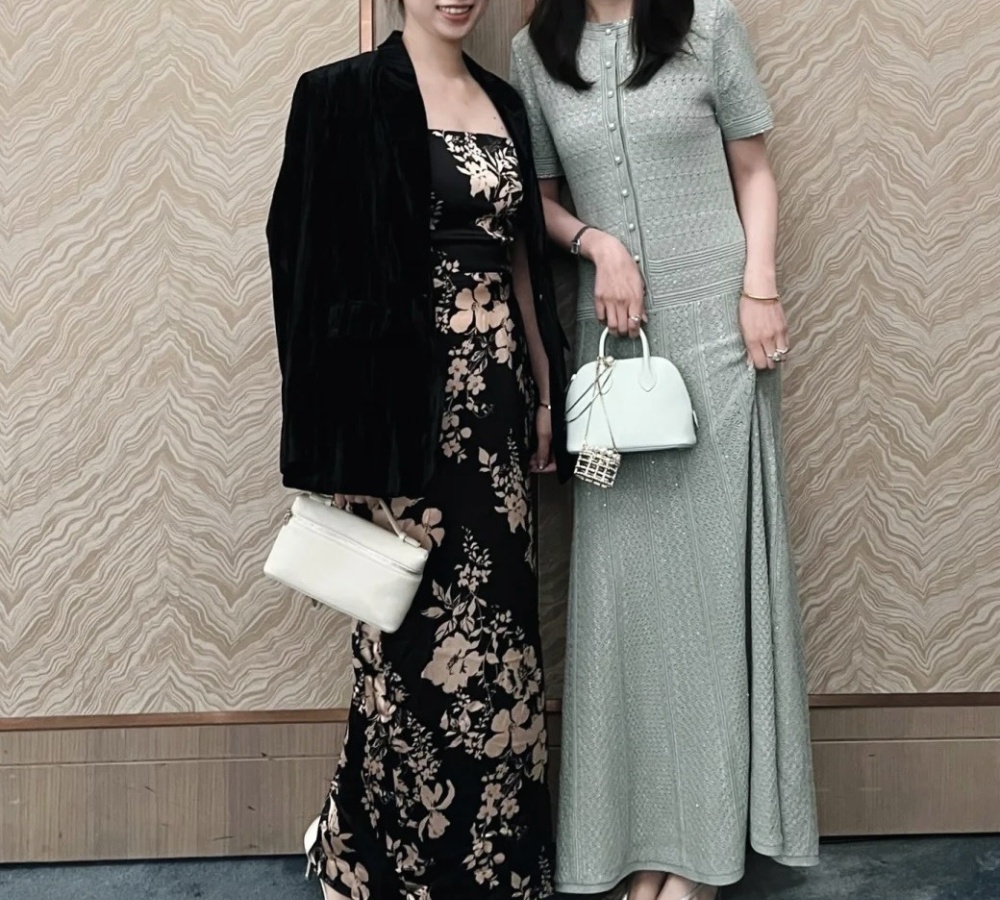 Hollow short sleeve retro cstand collar slim dress for women