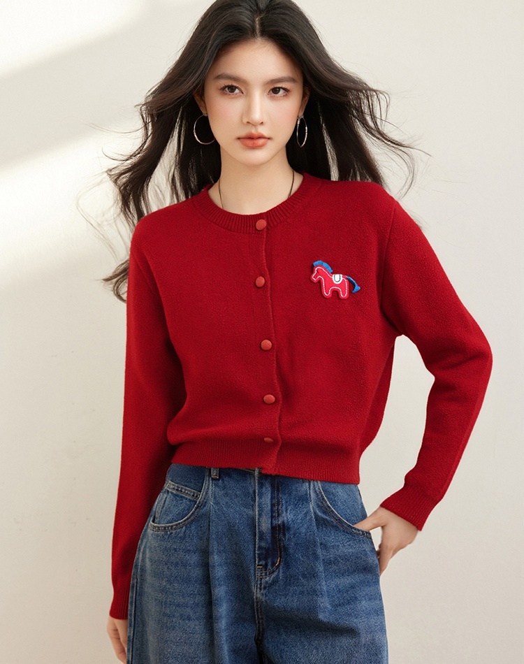 Pony embroidery tops cartoon sweater for women