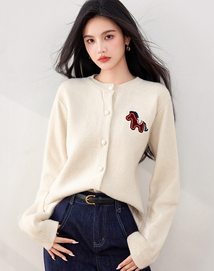 Pony embroidery tops cartoon sweater for women