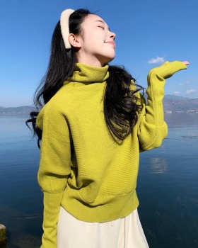 Inside the ride winter niche half high collar sweater