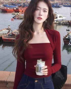 Autumn long sleeve slim tops short spicegirl T-shirt