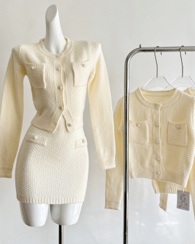 Knitted tops temperament short skirt a set