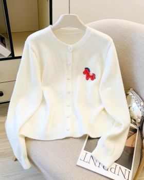 Knitted pony sweater all-match long sleeve coat for women