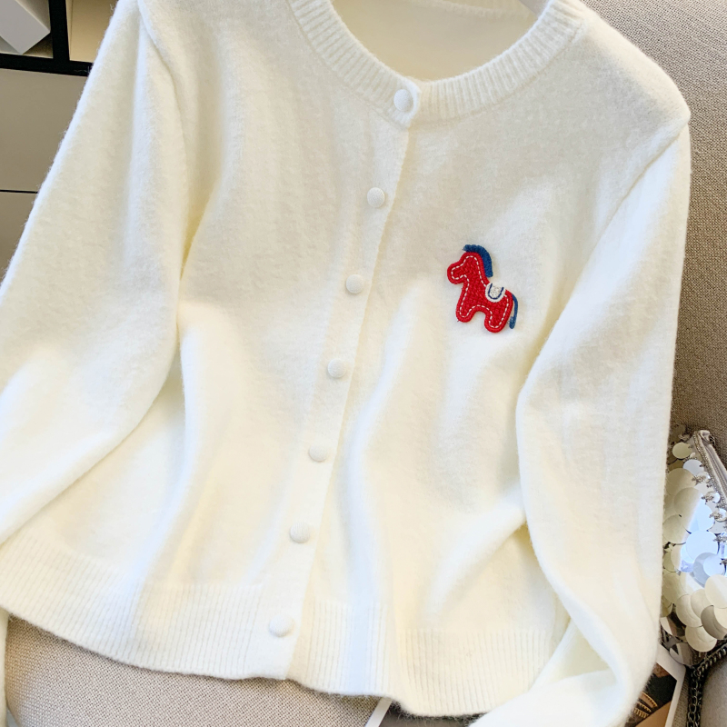 Knitted pony sweater all-match long sleeve coat for women