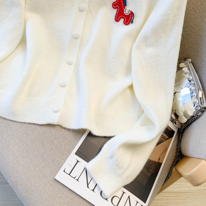 Knitted pony sweater all-match long sleeve coat for women