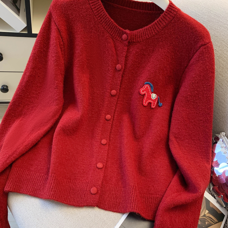 Knitted pony sweater all-match long sleeve coat for women