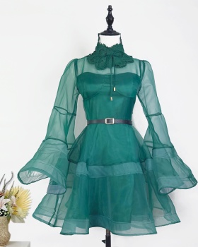 Thick and disorderly temperament ladies dress 2pcs set