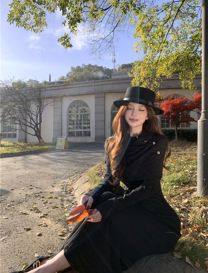 Temperament elegant shawl sexy slim long dress for women