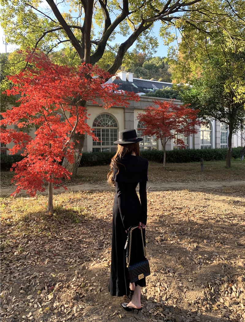 Temperament elegant shawl sexy slim long dress for women