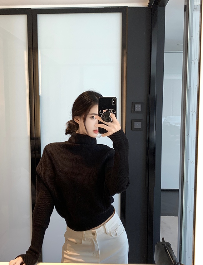 Half high collar Korean style niche pullover tender sweater