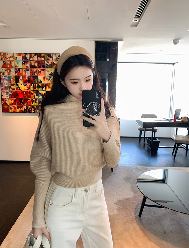 Half high collar Korean style niche pullover tender sweater