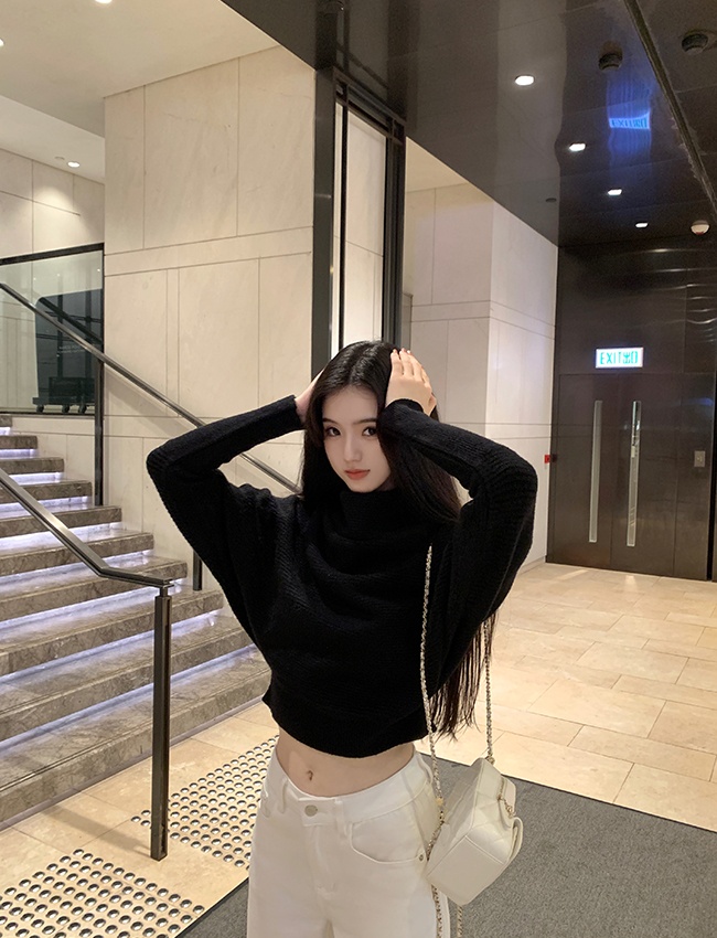 Half high collar Korean style niche pullover tender sweater