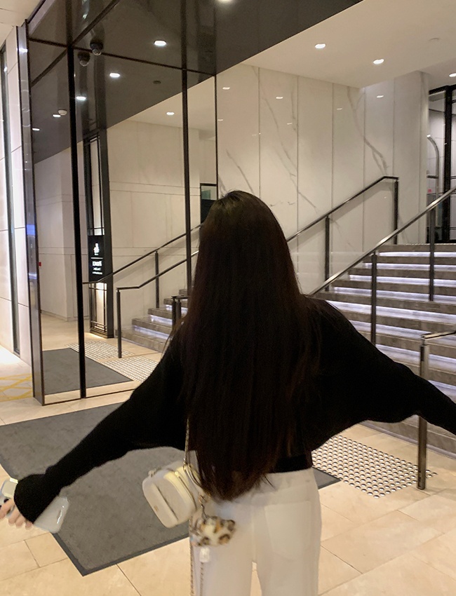 Half high collar Korean style niche pullover tender sweater