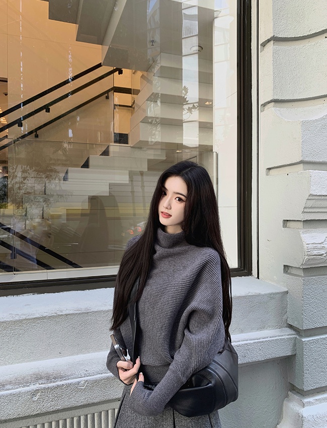 Half high collar Korean style niche pullover tender sweater