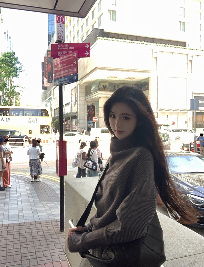 Half high collar Korean style niche pullover tender sweater