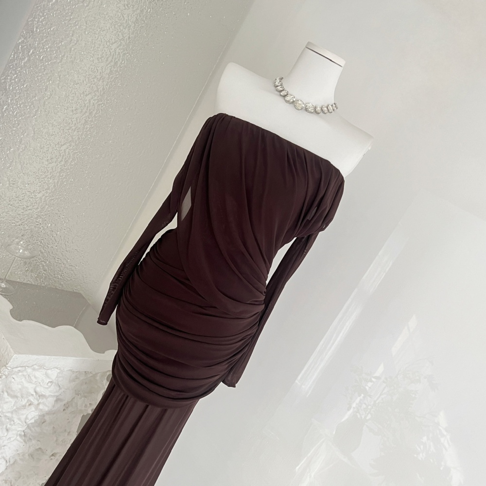 Temperament long sleeve long light luxury dress