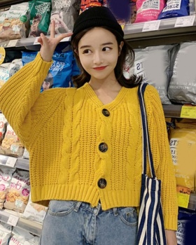 Loose Korean style sweater autumn and winter shirts