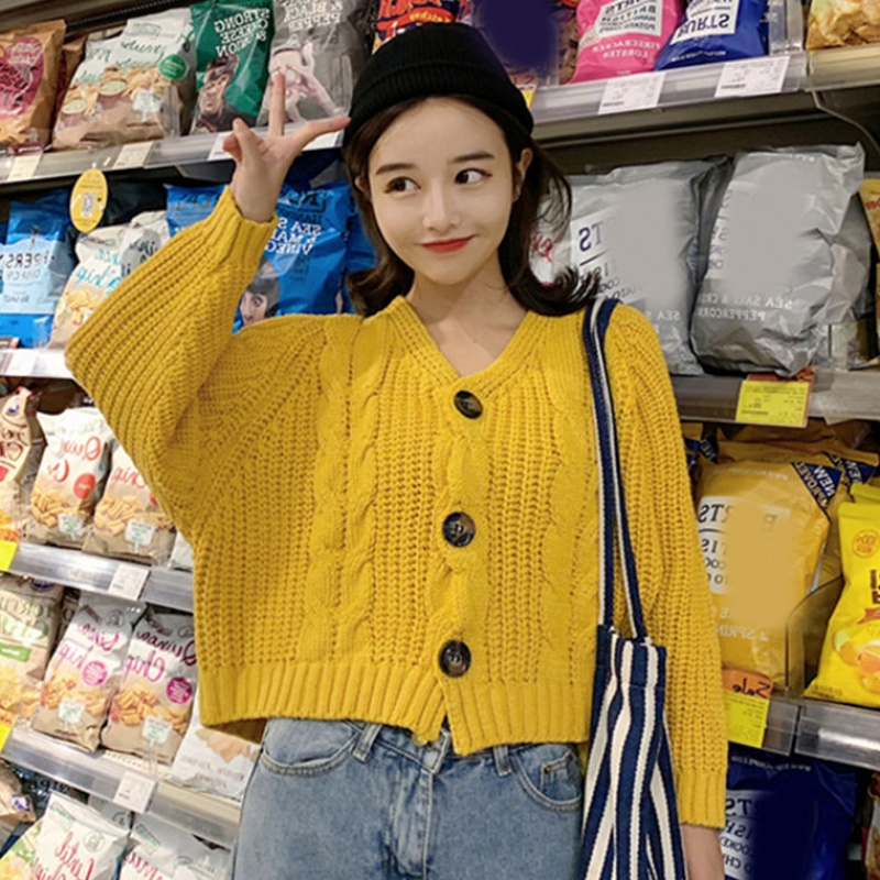 Loose Korean style sweater autumn and winter shirts