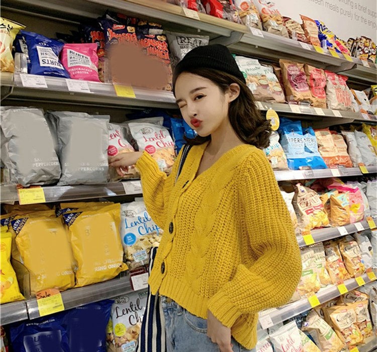 Loose Korean style sweater autumn and winter shirts