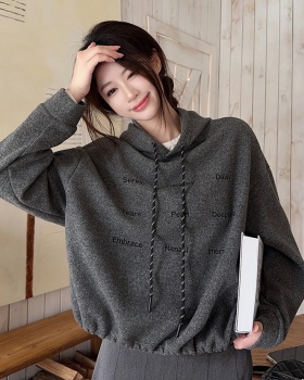 Korean style thermal thick tops loose hooded hoodie