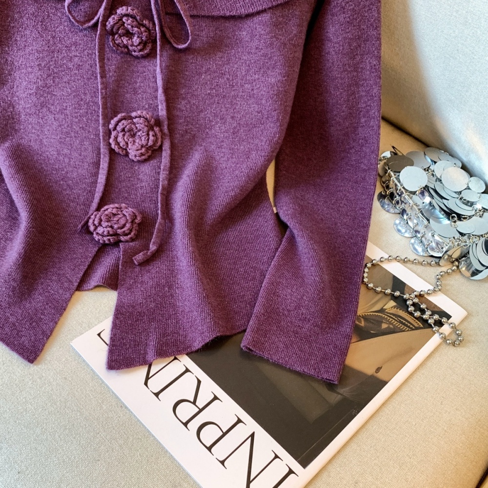 Spicegirl bottoming shirt long sleeve sweater for women