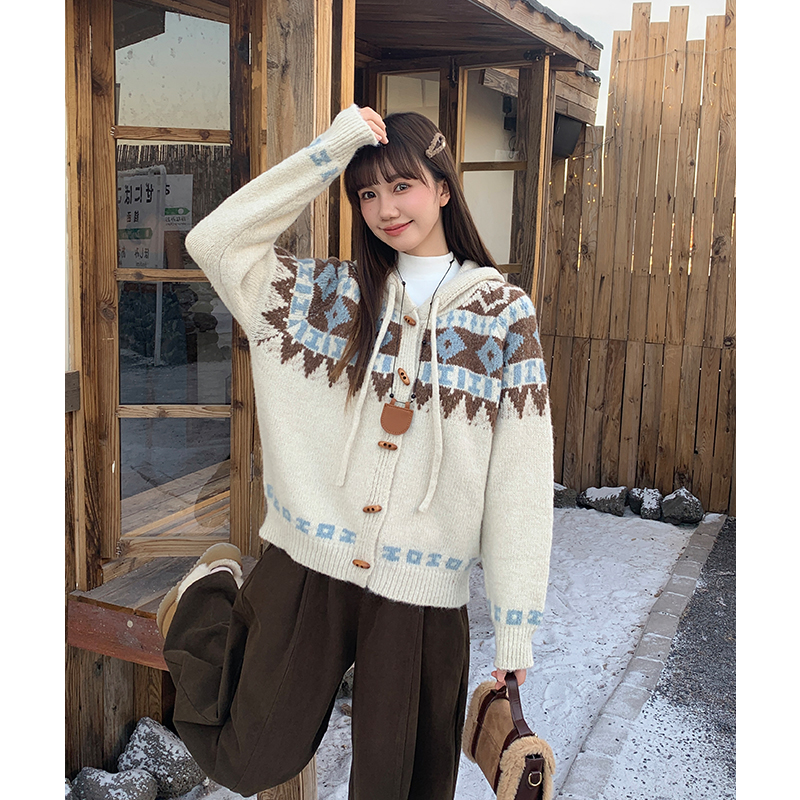 Hooded loose wears outside cardigan thick retro lazy sweater