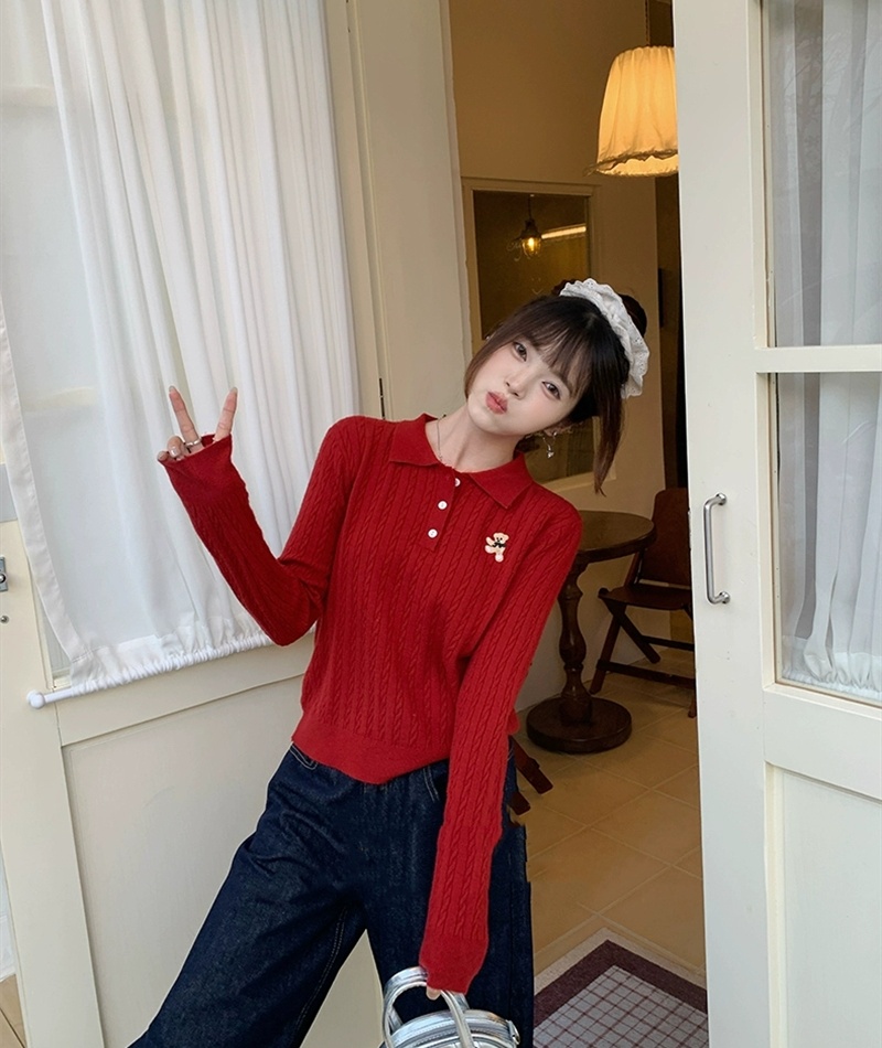 Bottoming inside the ride sweater autumn twist tops for women