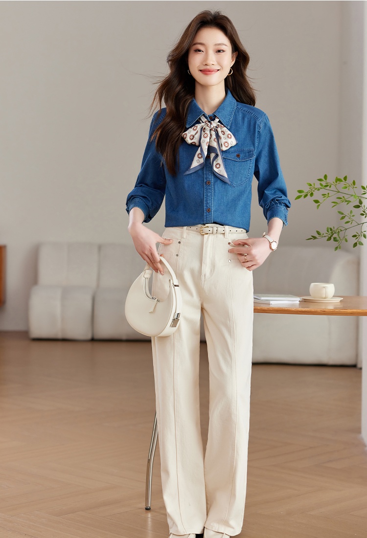 Spring long sleeve tops commuting temperament shirt for women