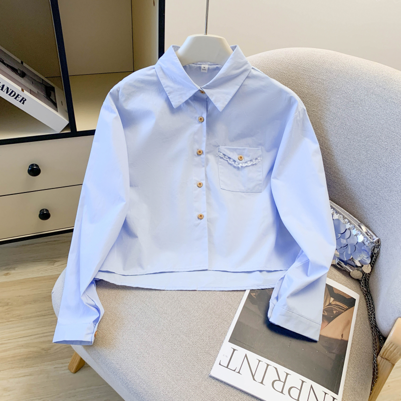 Lace all-match shirt Casual spring tops for women