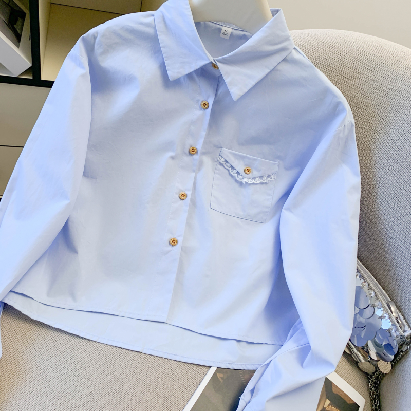 Lace all-match shirt Casual spring tops for women