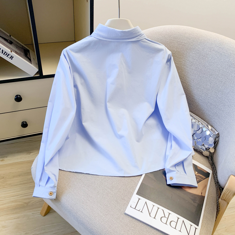 Lace all-match shirt Casual spring tops for women