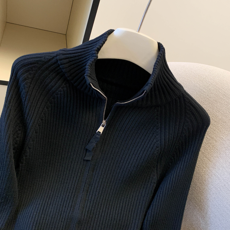 Niche slim sweater zip bottoming shirt for women