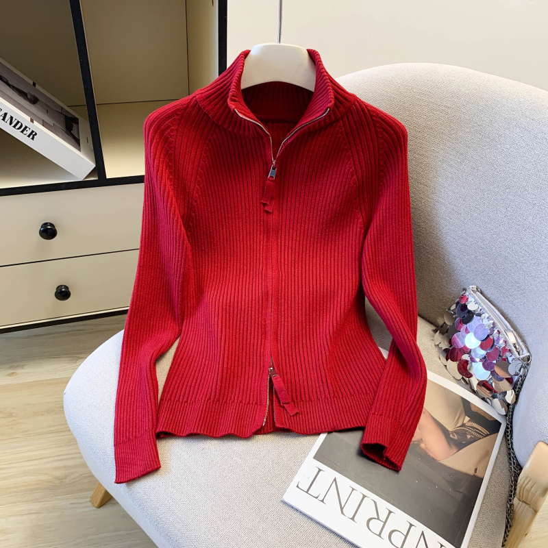 Niche slim sweater zip bottoming shirt for women