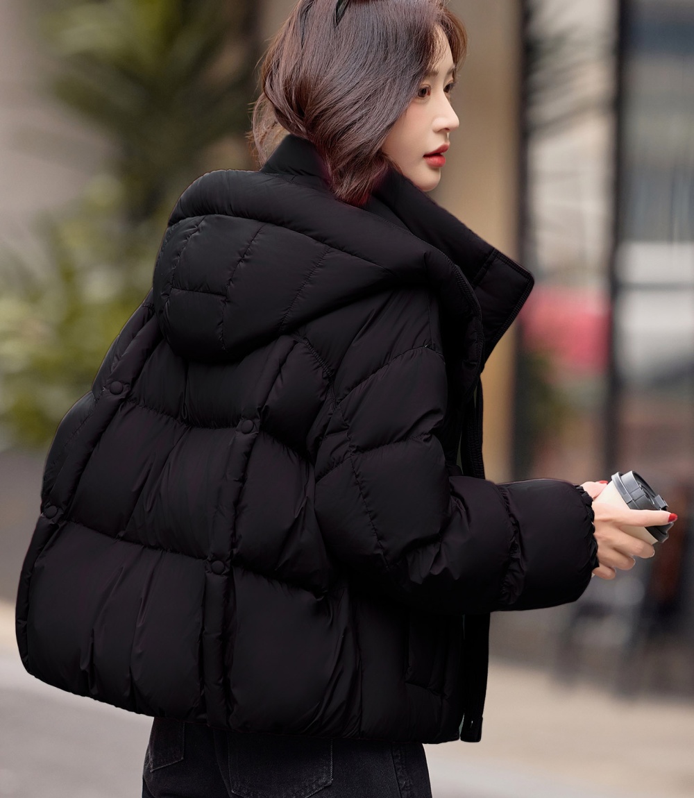 Hooded duck down winter down coat short fashion coat for women