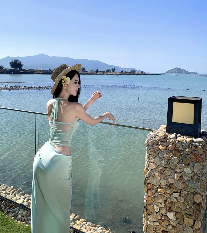 Splice gauze thin long sleeve Pseudo-two slim long dress