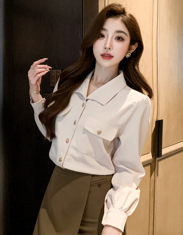 Profession commuting small shirt temperament spring tops